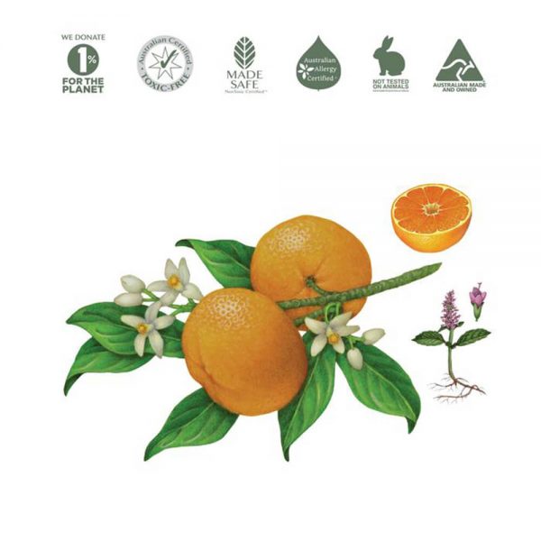 Mandarin and Peppermint natural ingredients for Koala Eco